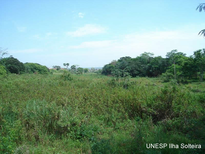 aula_pratica_5out2009 (59).jpg